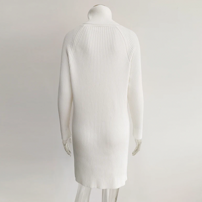 Celien™ | Strickkleid mit Kragen